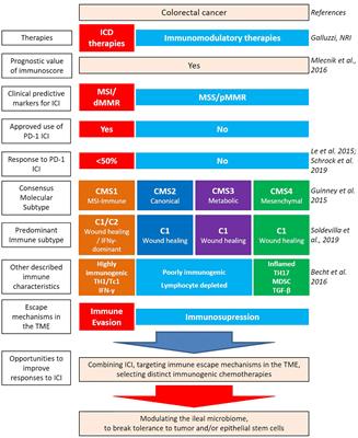 Resolving the Paradox of Colon Cancer Through the Integration of Genetics, Immunology, and the Microbiota